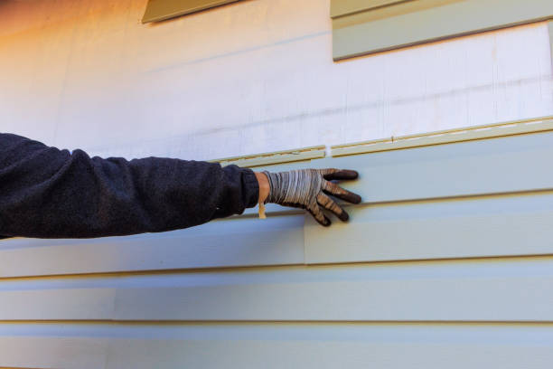 Affordable Siding Repair and Maintenance Services in Fountain Valley, CA